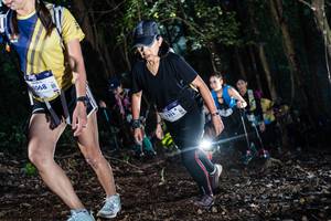 BIB: 1068
                            <button type="button" onclick="openModal(19041351)" class="btn btn-primary btn-sm float-right btn-popup" data-toggle="modal" data-target=".modal-high-quality">
                        <i class="fas fa-shopping-cart"></i> Add to Cart
                    </button>
                                            <button type="button" onclick="isThisMe(19041351, true)" class="btn btn-success btn-sm float-right btn-popup btn-isme hidden" data-toggle="tooltip" data-placement="bottom" title="นี่คือรูปของคุณใช่ไหม คลิกที่นี่เพื่อเอาเข้าอัลบั้ม">
                        <i class="fas fa-plus"></i> Add to album
                    </button>
                    <button type="button" onclick="isThisMe(19041351, false)" class="btn btn-warning btn-sm float-right btn-popup btn-isnotme hidden">
                        <i class="fas fa-ban"></i> Remove from album
                    </button>